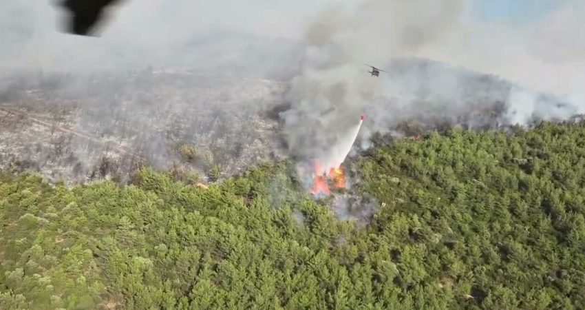 Muğla'nın Kavaklıdere, Milas ve Ortaca ilçelerinde çıkan orman yangınlarına ekiplerin