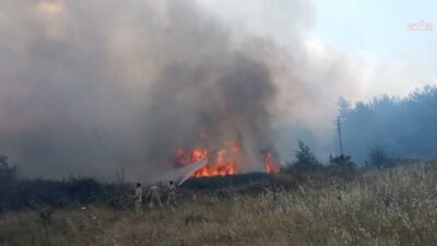 Muğla'nın Menteşe ilçesine bağlı Yenice Mahallesi'nde ziraat alanında başlayarak rüzgarın