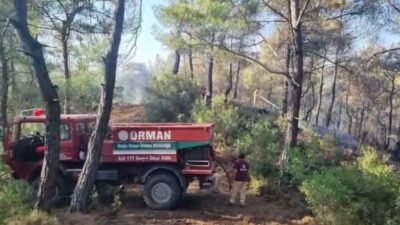Muğla’nın Menteşe ilçesinde ziraat alanında başlayıp ormanlık alana yayılan yangının