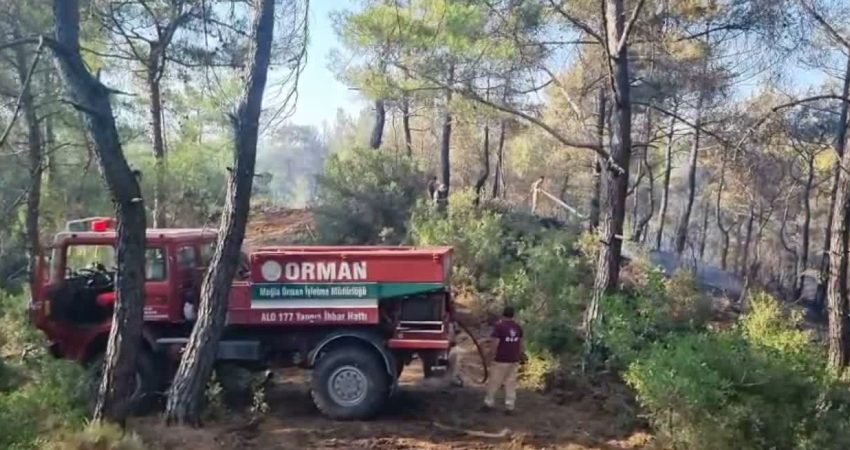 Muğla’nın Menteşe ilçesinde ziraat alanında başlayıp ormanlık alana yayılan yangının