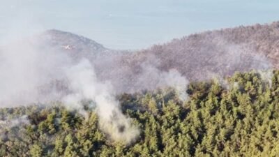 Muğla'nın Milas ilçesine bağlı Bozbük ve Gürçamlar mahalleleri yakınlarında çıkan