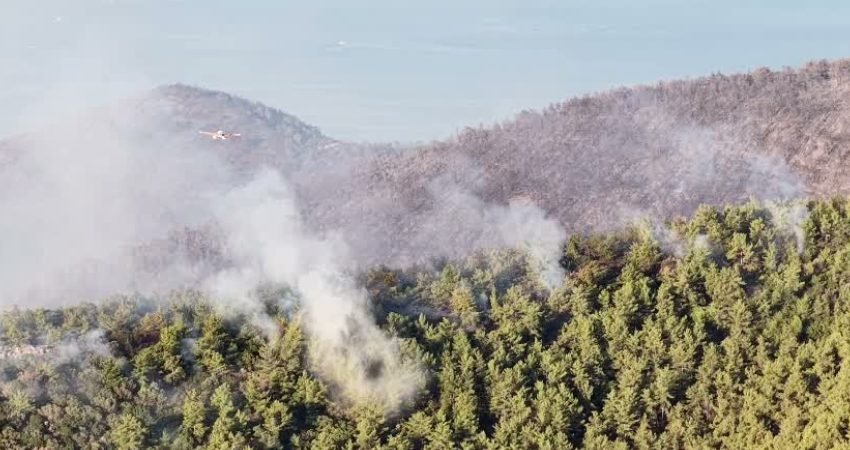 Muğla'nın Milas ilçesine bağlı Bozbük ve Gürçamlar mahalleleri yakınlarında çıkan