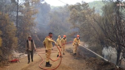 Muğla'nın Fethiye ilçesinde dün saat 12.30 sıralarında orman dışı alanda