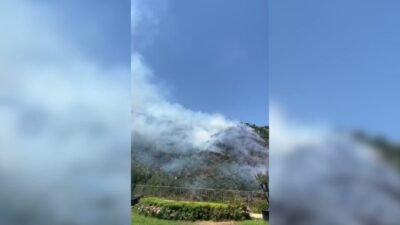 İzmir'in Narlıdere ilçesinde öğle saatlerinde ormanlık alanda yangın çıktı. Yangına,