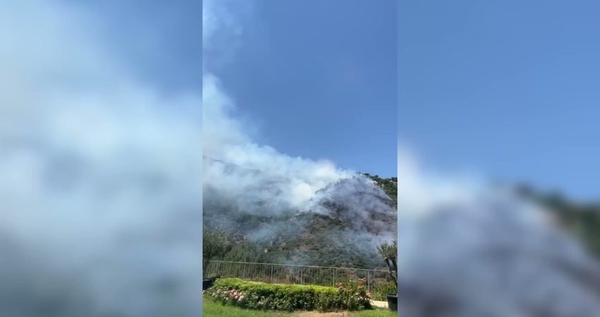 İzmir'in Narlıdere ilçesinde öğle saatlerinde ormanlık alanda yangın çıktı. Yangına,