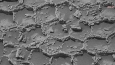 NASA'nın Curiosity keşif aracı, Mars'ın Gale Krateri'nde dev bir bal