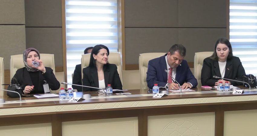 TBMM Şanlıurfa ve Kahramanmaraş'taki Okul Olaylarını ve Dijital Riskleri Araştırma