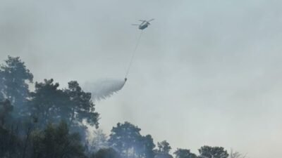 Orman Genel Müdürlüğü, Muğla'nın Fethiye ilçesinde devam eden orman yangınının