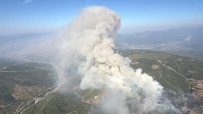 Muğla'nın Seydikemer ilçesinde ziraat alanında başlayıp ormanlık alana sıçrayan yangın