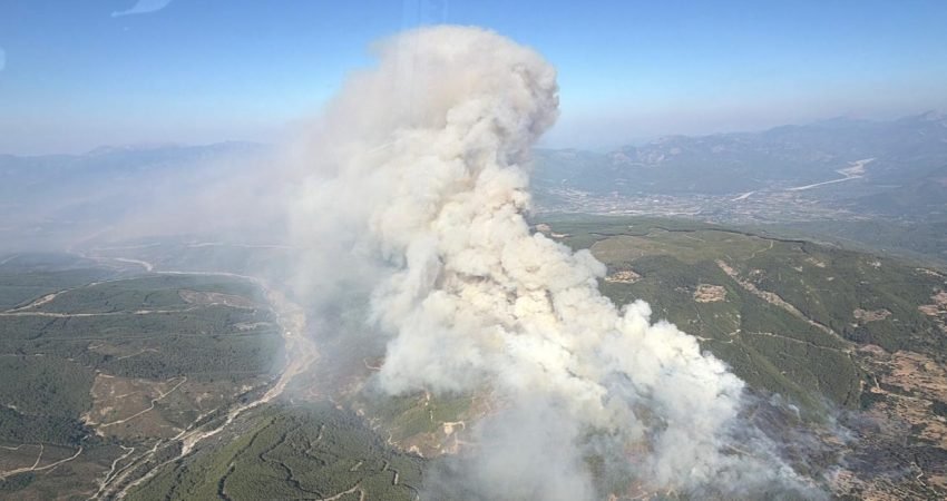 Muğla'nın Seydikemer ilçesinde ziraat alanında başlayıp ormanlık alana sıçrayan yangın