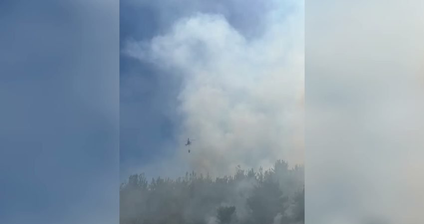 Osmaniye'nin Cebel Yaylası Türkü mevkisinde henüz belirlenemeyen nedenle orman yangını