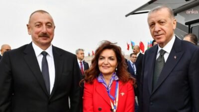Türkiye Azerbaycan Dostluk İşbirliği ve Dayanışma Vakfı Başkanı Prof. Dr. Aygün