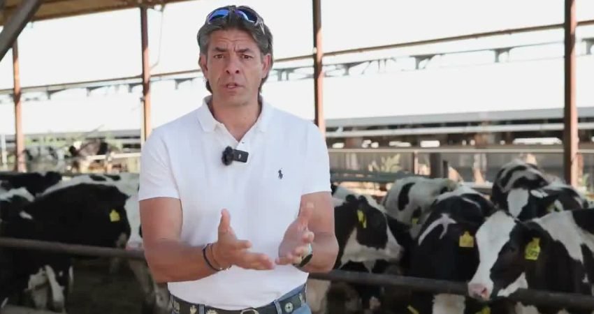 CHP'li Solakoğlu, işletmesine ait sertifikaların iptal edilmesine tepki göstererek, "Bunların