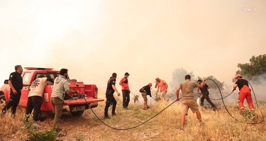 Muğla Büyükşehir Belediyesi, Seydikemer ilçesi Bayır Mahallesi ve Fethiye ilçesi