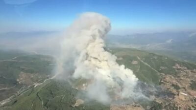 Muğla'nın Seydikemer ilçesinde ziraat alanında başlayan yangın, rüzgarın etkisiyle ormanlık