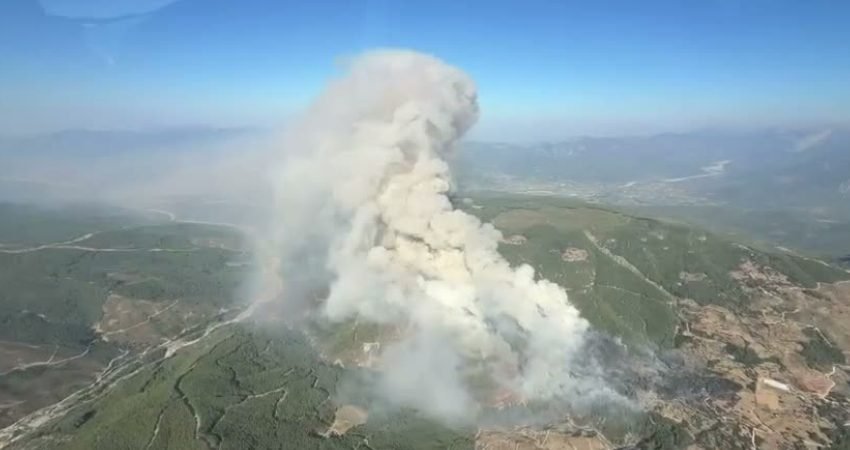 Muğla'nın Seydikemer ilçesinde ziraat alanında başlayan yangın, rüzgarın etkisiyle ormanlık