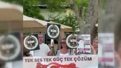 Sinop Hayvan Hakları Platformu, sokak hayvanlarının toplatılma süreçlerinde ciddi hak