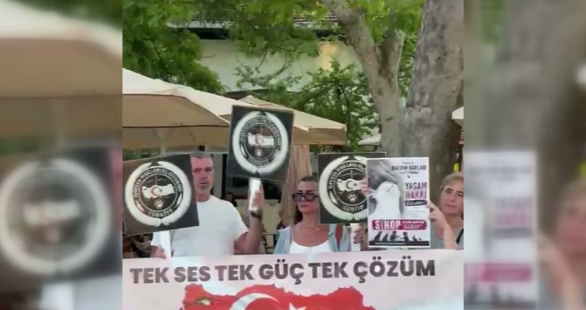 Sinop Hayvan Hakları Platformu, sokak hayvanlarının toplatılma süreçlerinde ciddi hak