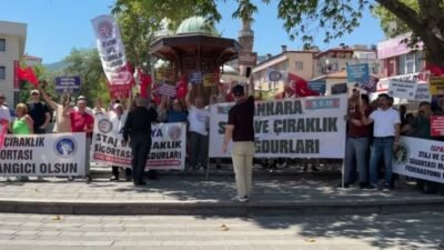 Staj ve Çıraklık Sigortası Mağdurları Federasyonu, staj ve çıraklık dönemindeki