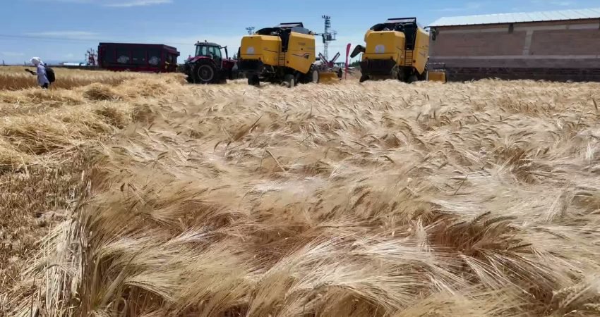 Yozgat’ta çiftçiler, artan girdi maliyetleri nedeniyle üretim yapmakta zorlandıklarını belirtti.