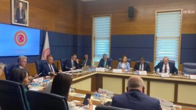 TBMM Dışişleri Komisyonu'nda, BM İklim Değişikliği Konferansı'nın 31'incisi olan COP31'e