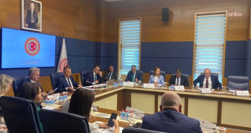 TBMM Dışişleri Komisyonu'nda, BM İklim Değişikliği Konferansı'nın 31'incisi olan COP31'e