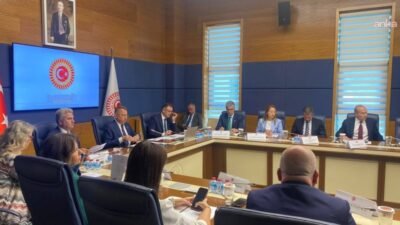 TBMM Dışişleri Komisyonu, Suriye'deki Şam Kalp Hastanesi ile Halep Onkoloji