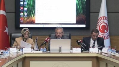 TBMM Şanlıurfa ve Kahramanmaraş'taki Okul Olaylarını ve Dijital Riskleri Araştırma