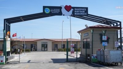 Tekirdağ Büyükşehir Belediyesi, sokakta yaşayan hayvanların yaşam koşullarını iyileştirmek, ihtiyaç