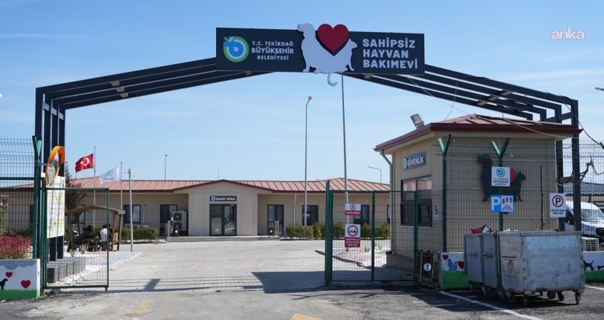 Tekirdağ Büyükşehir Belediyesi, sokakta yaşayan hayvanların yaşam koşullarını iyileştirmek, ihtiyaç