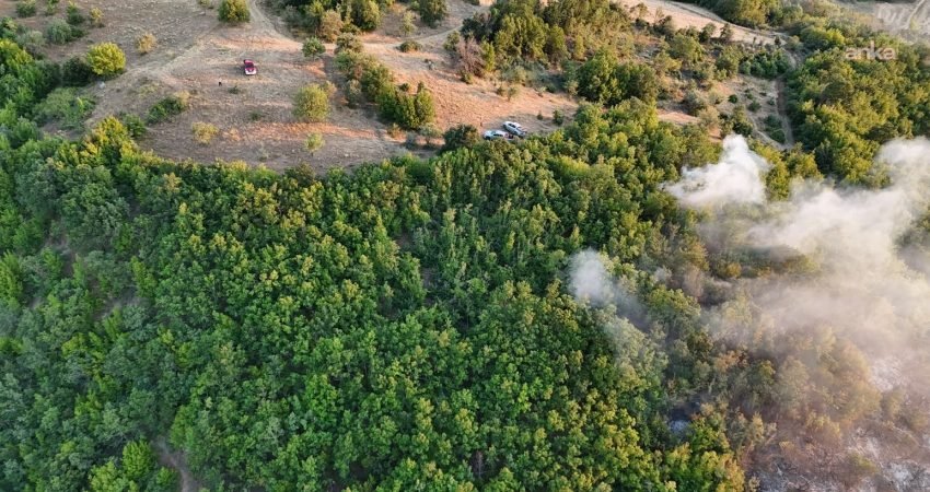 Tekirdağ Malkara'nın Esendik Mahallesi'nde anızlık alanda başlayan ve ormana sıçrayan