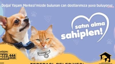 Tepebaşı Belediyesi Doğal Yaşam Merkezi, can dostlara umut olmaya devam