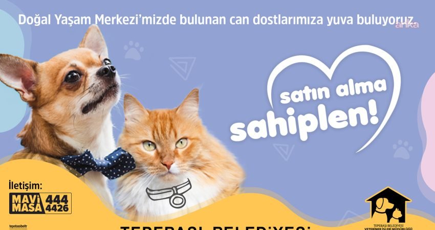 Tepebaşı Belediyesi Doğal Yaşam Merkezi, can dostlara umut olmaya devam