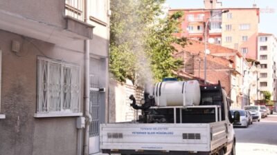 Tepebaşı Belediyesi Veteriner İşleri Müdürlüğü ekipleri, vatandaşların yaz aylarını daha
