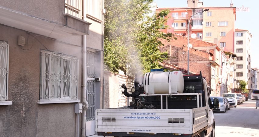 Tepebaşı Belediyesi Veteriner İşleri Müdürlüğü ekipleri, vatandaşların yaz aylarını daha