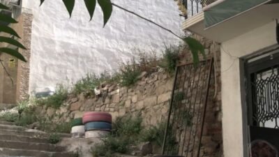 Sokak hayvanlarının toplatılmasına ilişkin tartışmalar sürerken; içerik üreticisi Sarper Yeniçeri,
