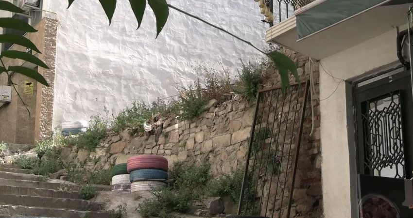 Sokak hayvanlarının toplatılmasına ilişkin tartışmalar sürerken; içerik üreticisi Sarper Yeniçeri,