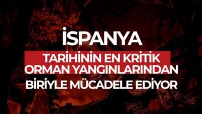 Orman Genel Müdürlüğü (OGM), İspanya ve Fransa’da devam eden orman