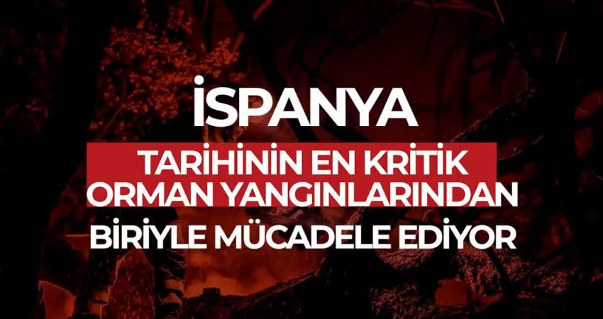 Orman Genel Müdürlüğü (OGM), İspanya ve Fransa’da devam eden orman