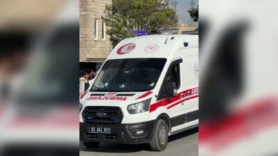 Van-Hakkari kara yolunda meydana gelen trafik kazasında iki kuzen yaşamını