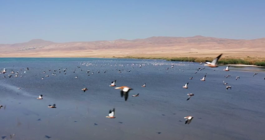 Van, 11-19 Temmuz arasında Türkiye Kültür Yolu Festivali kapsamında üçüncü