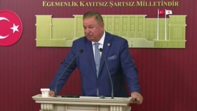 Yeniden Refah Partisi Genel Başkan Yardımcısı ve İstanbul Milletvekili Doğan