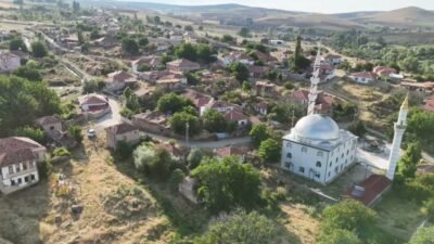 Yozgat merkeze bağlı Lök Köyü Muhtarı Sadettin Gültekin, köyde bulunan iki