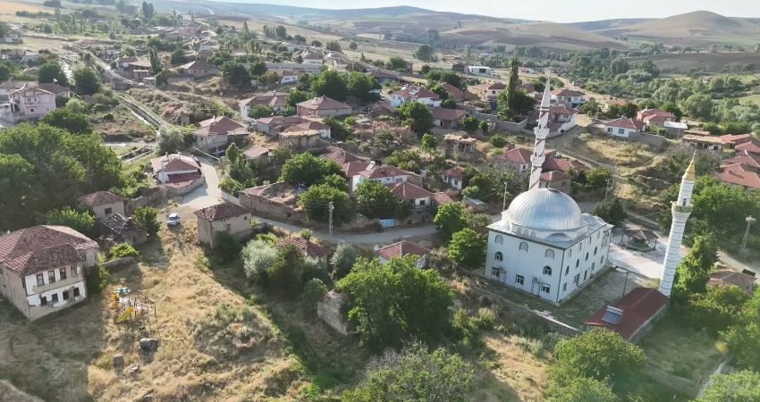 Yozgat merkeze bağlı Lök Köyü Muhtarı Sadettin Gültekin, köyde bulunan iki
