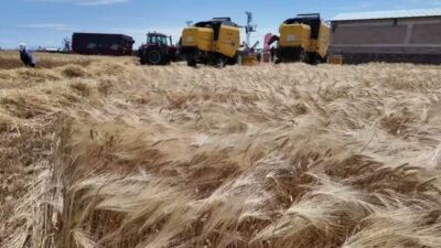 Yozgat’ta, görece daha yumuşak iklime sahip Yerköy ilçesinin ardından diğer