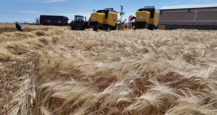 Yozgat’ta, görece daha yumuşak iklime sahip Yerköy ilçesinin ardından diğer