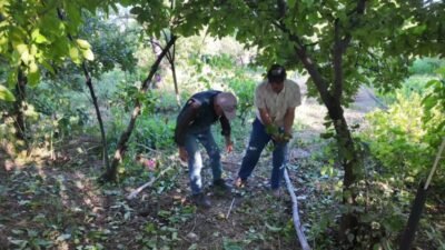 Yozgat’ta hafta sonu yağan yağmur ve dolu afetinin tarım alanlarına