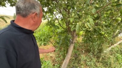 Yozgat’ta dün sabahın erken saatlerinde başlayan yağmur ve bazı bölgelerdeki