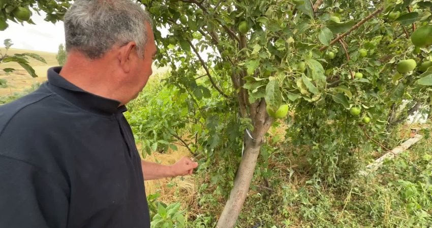 Yozgat’ta dün sabahın erken saatlerinde başlayan yağmur ve bazı bölgelerdeki
