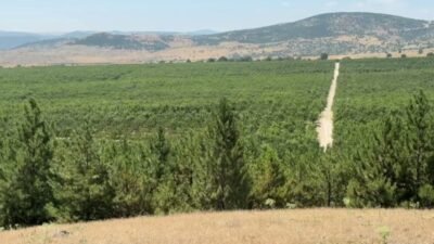Yozgat’ın Kadışehri ilçesine bağlı Kabalı köyünde 2009 yılında köylülerin arazilerini